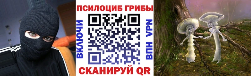 Псилоцибиновые грибы GOLDEN TEACHER Сосновка